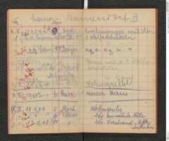 Seite 13, Tagebuch "Photogr. Aufn. 1919" (NHMW-PRAE-BBB-11)